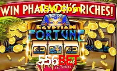Estatísticas do Jogo 556Bet